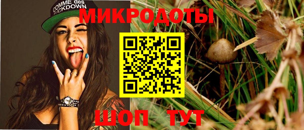Галлюциногенные грибы GOLDEN TEACHER Отрадный