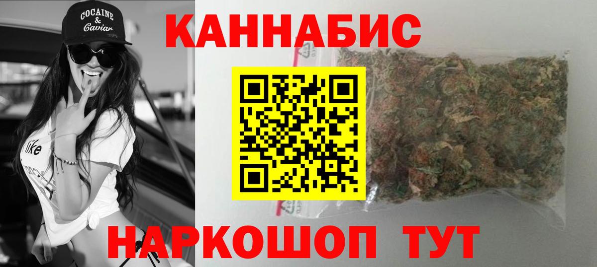 Канабис конопля Отрадный